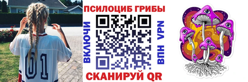 Галлюциногенные грибы Psilocybine cubensis Новохопёрск